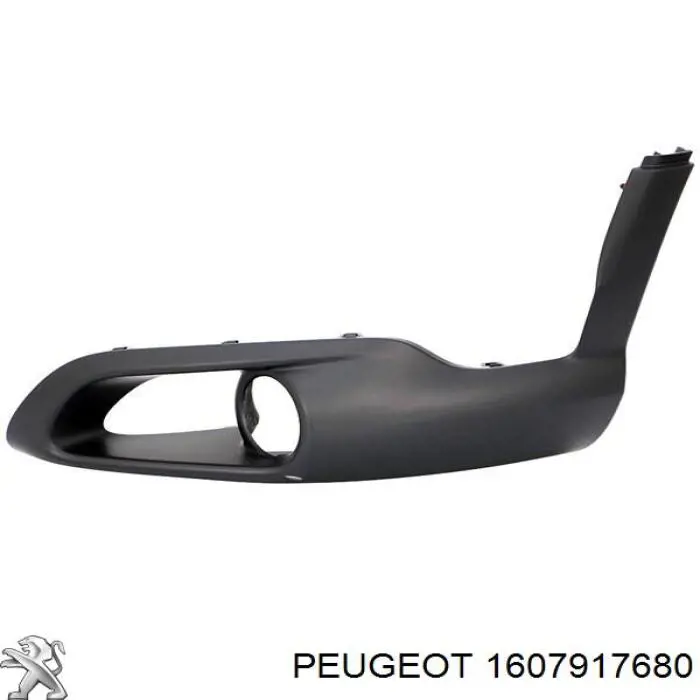 1607917680 Peugeot/Citroen 