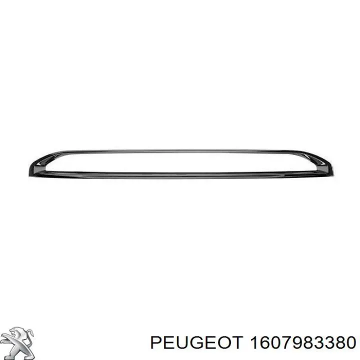 1607983380 Peugeot/Citroen молдинг переднього бампера