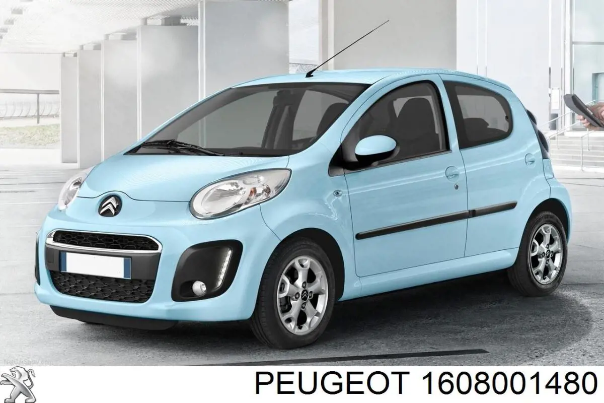 Підкрилок передній лівий 1608001480 Peugeot/Citroen