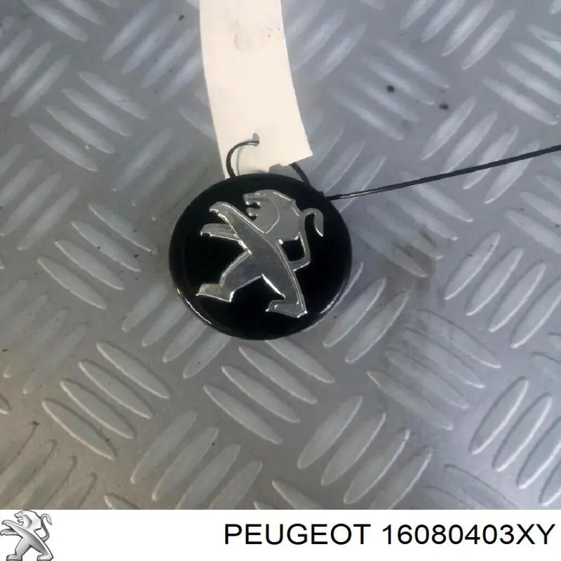 16080403XY Peugeot/Citroen 