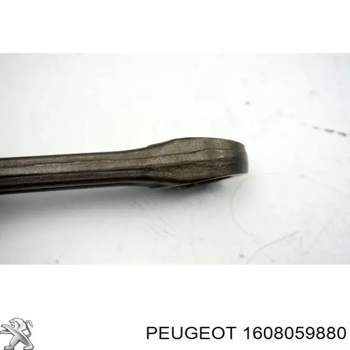  1608059880 Peugeot/Citroen