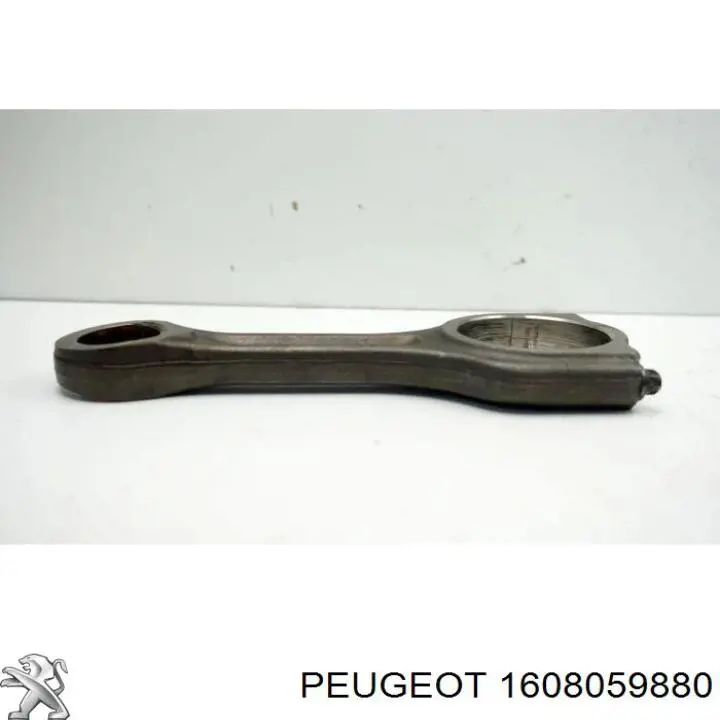  Peugeot/Citroen 1608059880