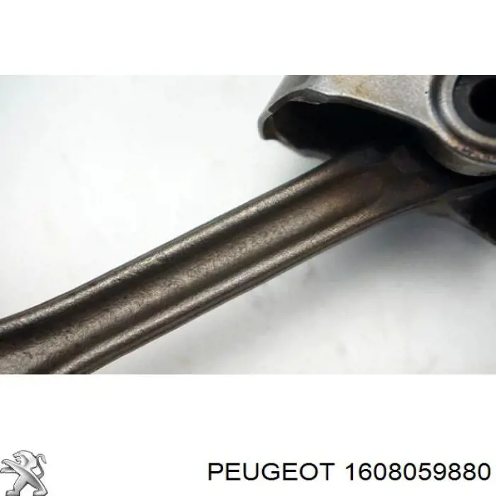 1608059880 Peugeot/Citroen 