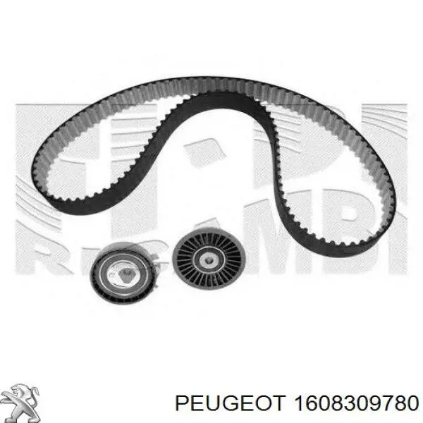 Пружина передня 1608309780 Peugeot/Citroen