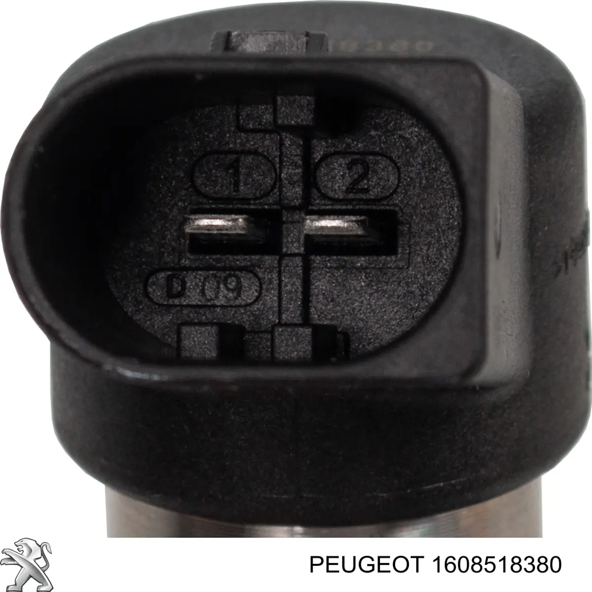 Купити 1608518380 Peugeot/Citroen Форсунка дизельна в зборі, розпилювач + тримач