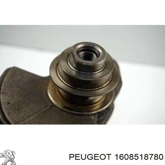 1608518780 Peugeot/Citroen Колінвал двигуна