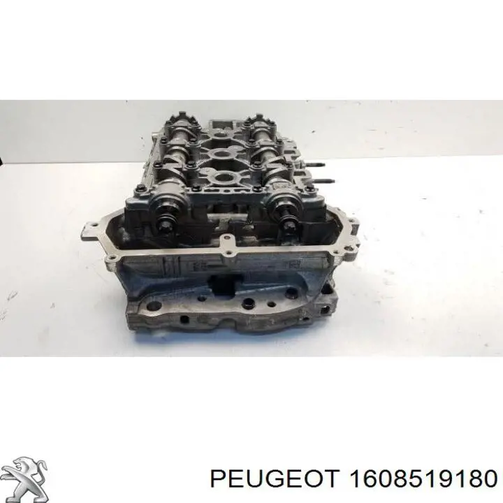 1608519180 Peugeot/Citroen Головка циліндрів