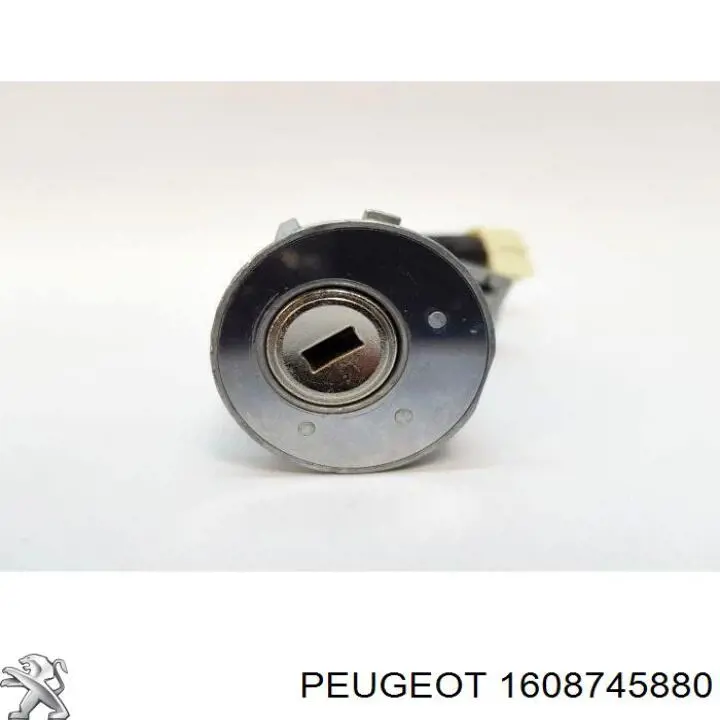 1608745880 Peugeot/Citroen 