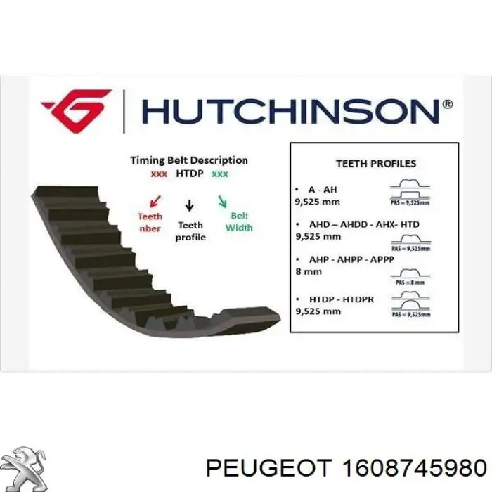 ГРМ ремінь Peugeot/Citroen 1608745980