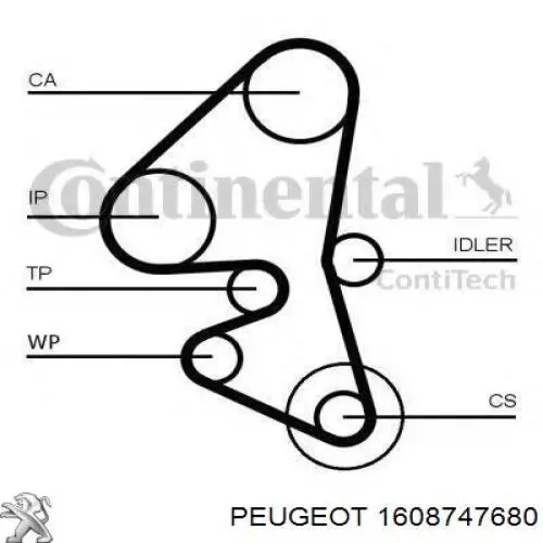 Комплект ГРМ Peugeot/Citroen 1608747680 ціна, від 94.28 USD