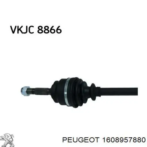 Купити G2C123PC Pascal Піввісь права