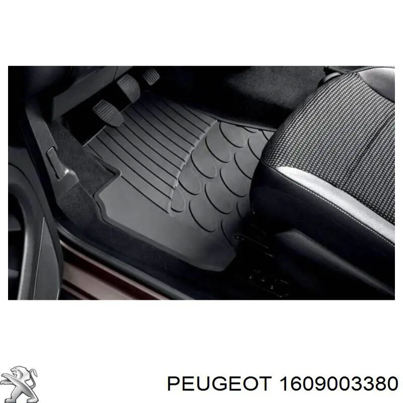 1609003380 Peugeot/Citroen 