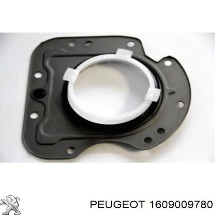 Купити 1609009780 Peugeot/Citroen Сальник колінвала задній
