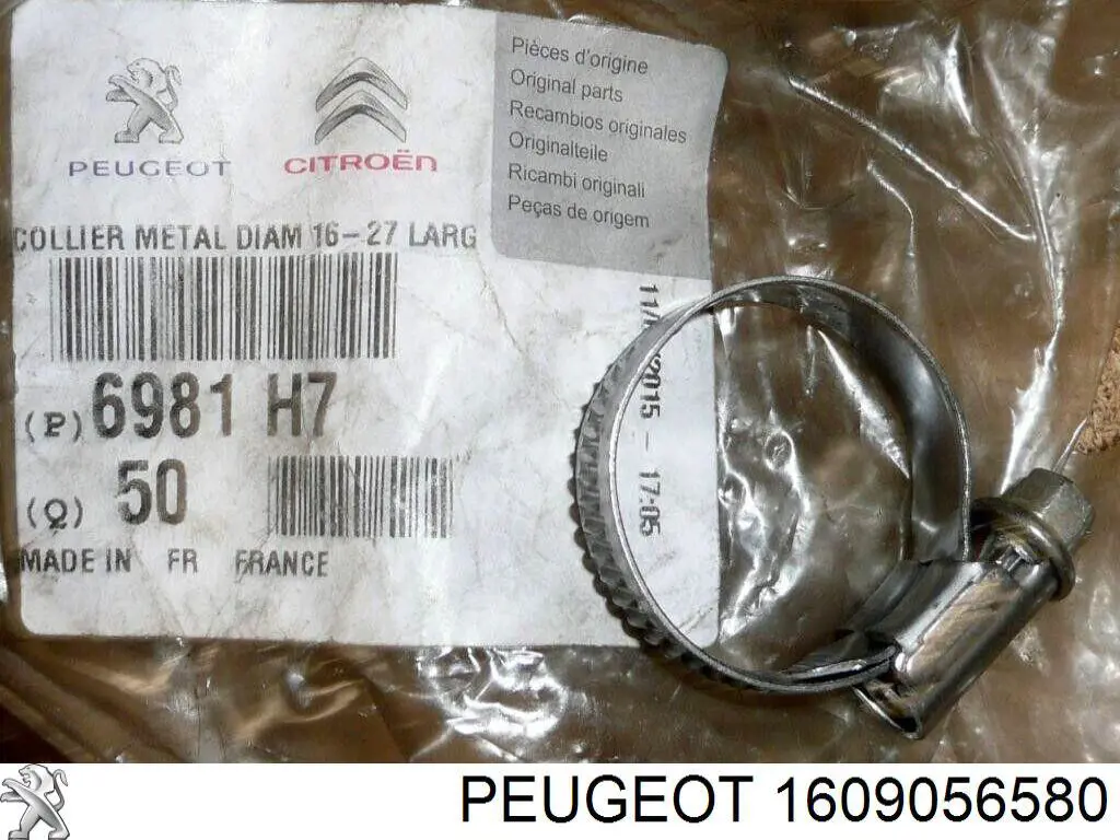 1609056580 Peugeot/Citroen Внутрішньосалонний фільтр
