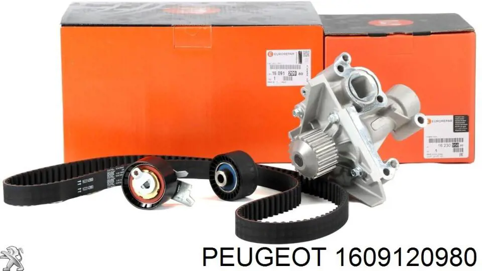 Комплект ГРМ Peugeot/Citroen 1609120980 ціна, від 154.50 USD