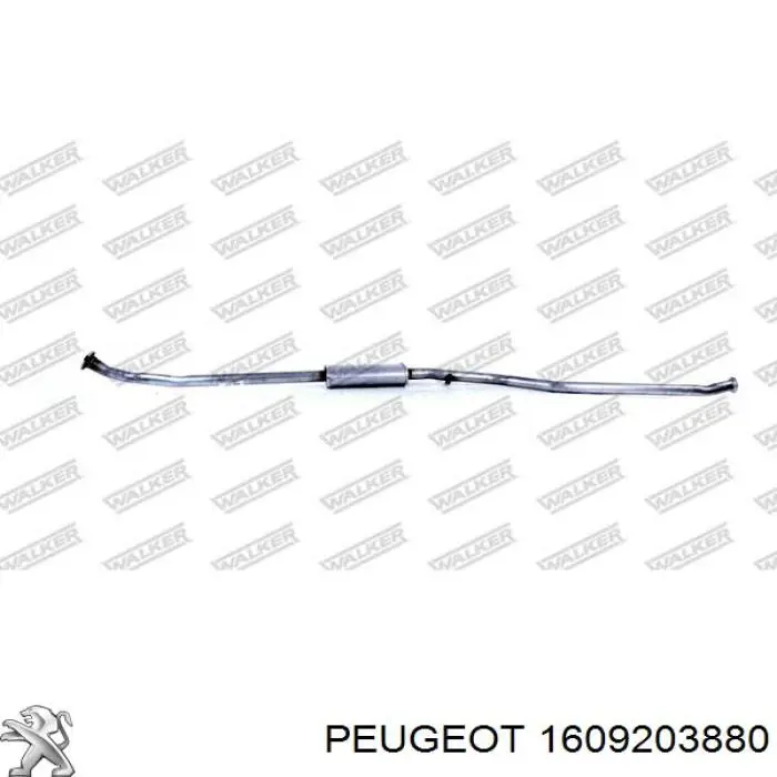 Купити 1609203880 Peugeot/Citroen Вихлоп