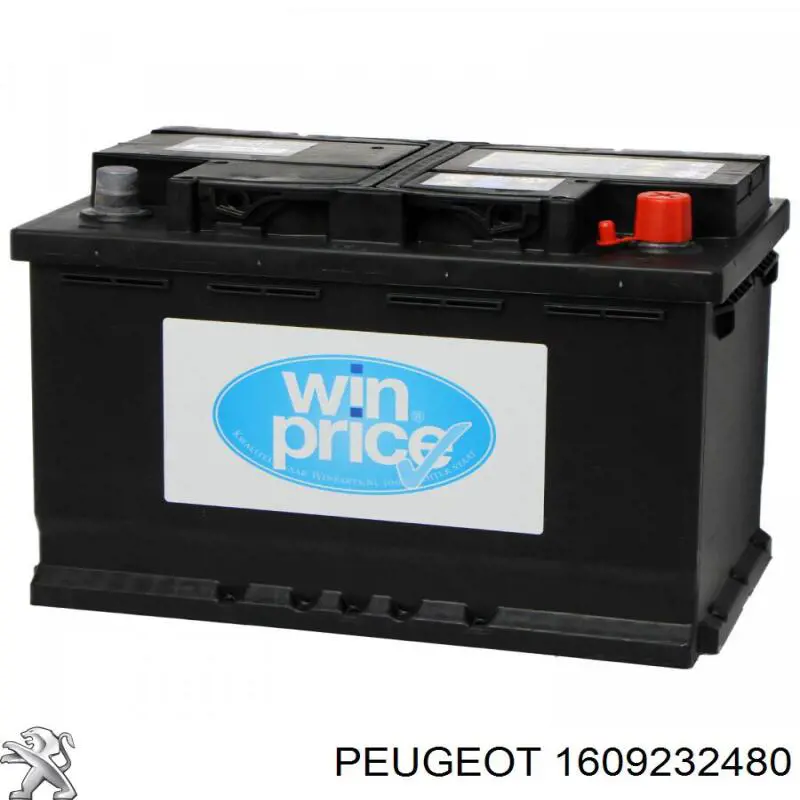 1609232480 Peugeot/Citroen акумуляторна батарея, акб