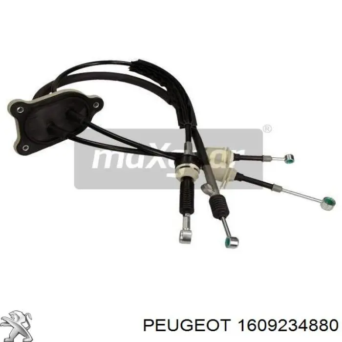 Трос перемикання передач, здвоєний Peugeot/Citroen 1609234880 ціна, від 62.79 USD
