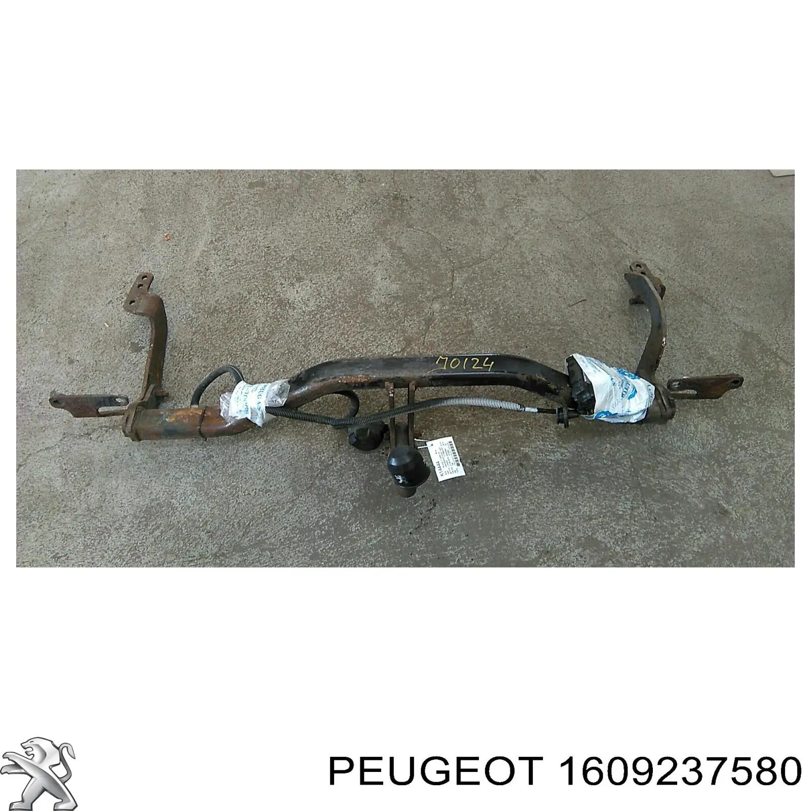 Насос ГУР 1609237580 Peugeot/Citroen