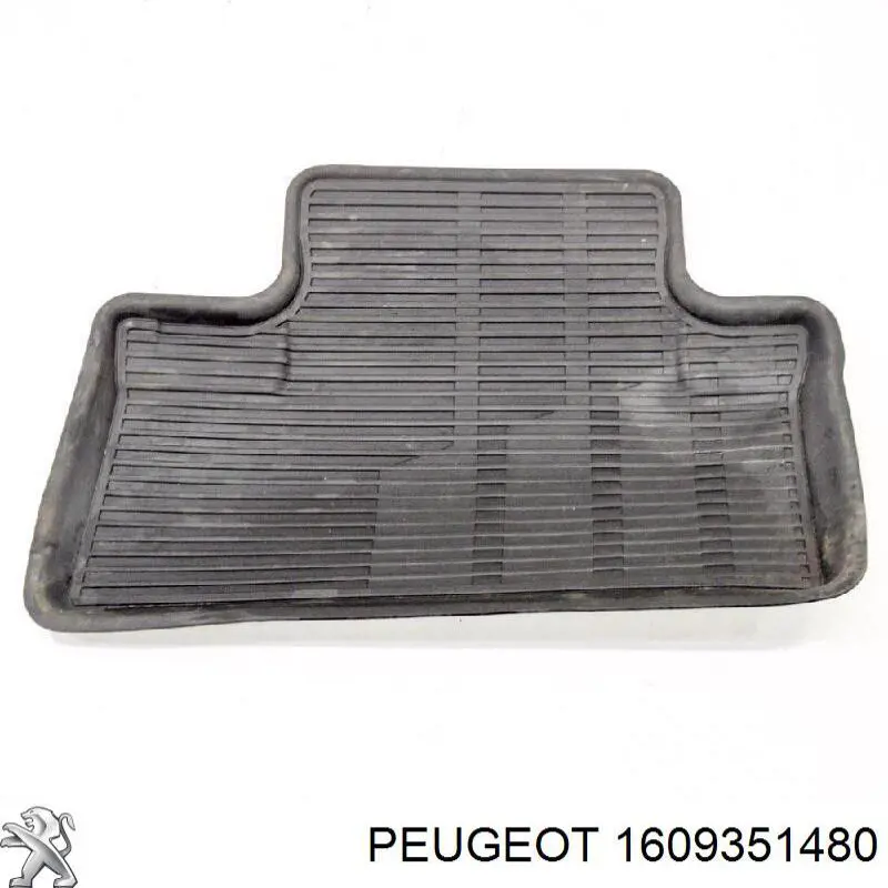 1609351480 Peugeot/Citroen Килими салону