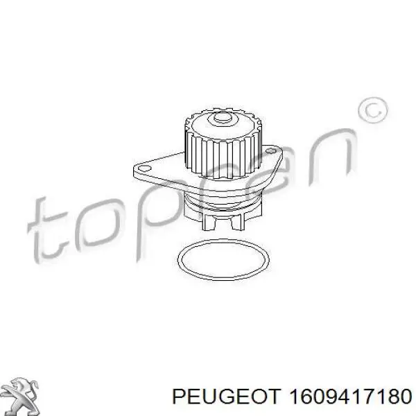 1609417180 Peugeot/Citroen Насос охолодження