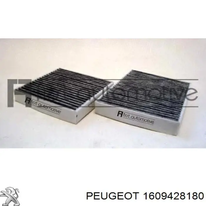 1609428180 Peugeot/Citroen Внутрішньосалонний фільтр