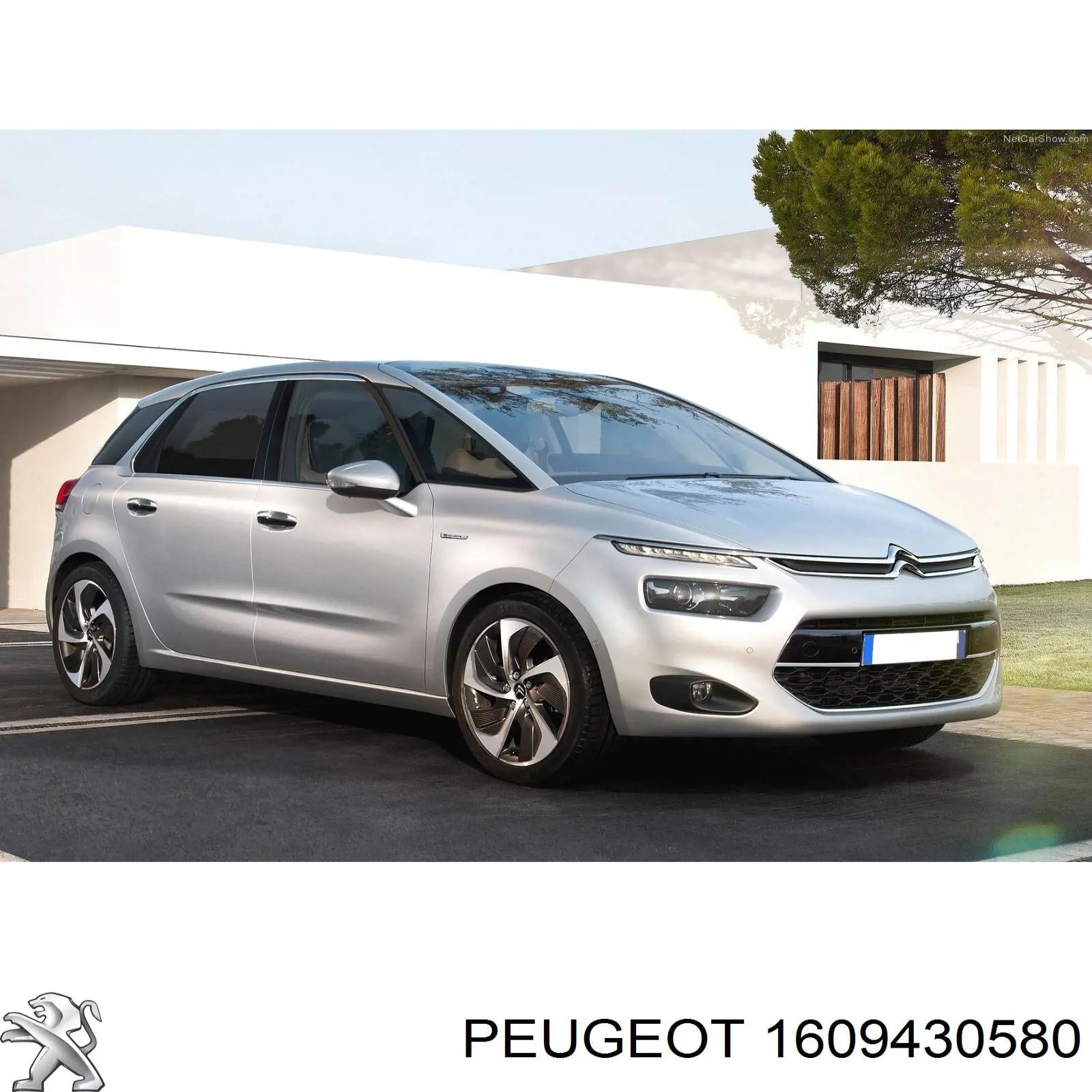 1609430580 Peugeot/Citroen Дзеркало заднього виду, ліве