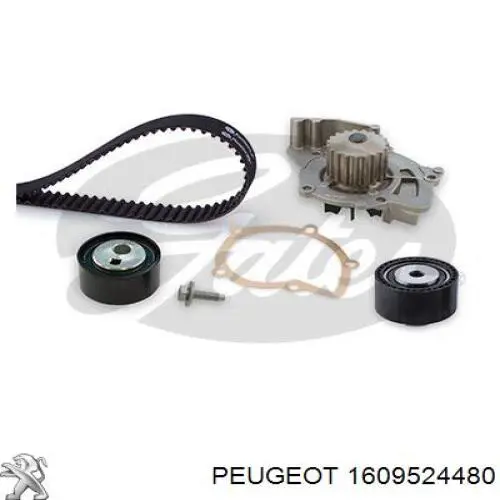 Купити 1609524480 Peugeot/Citroen ГРМ ремень