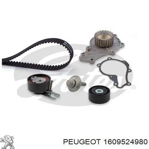 Комплект ГРМ Peugeot/Citroen 1609524980 ціна, від 168.25 USD