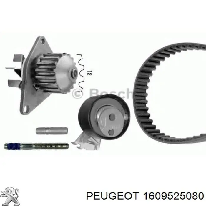 Купити 1609525080 Peugeot/Citroen ГРМ ремень