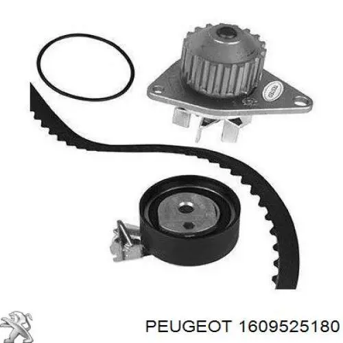 Комплект ГРМ 1609525180 Peugeot/Citroen