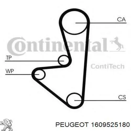 Комплект ГРМ Peugeot/Citroen 1609525180 ціна, від 79.07 USD