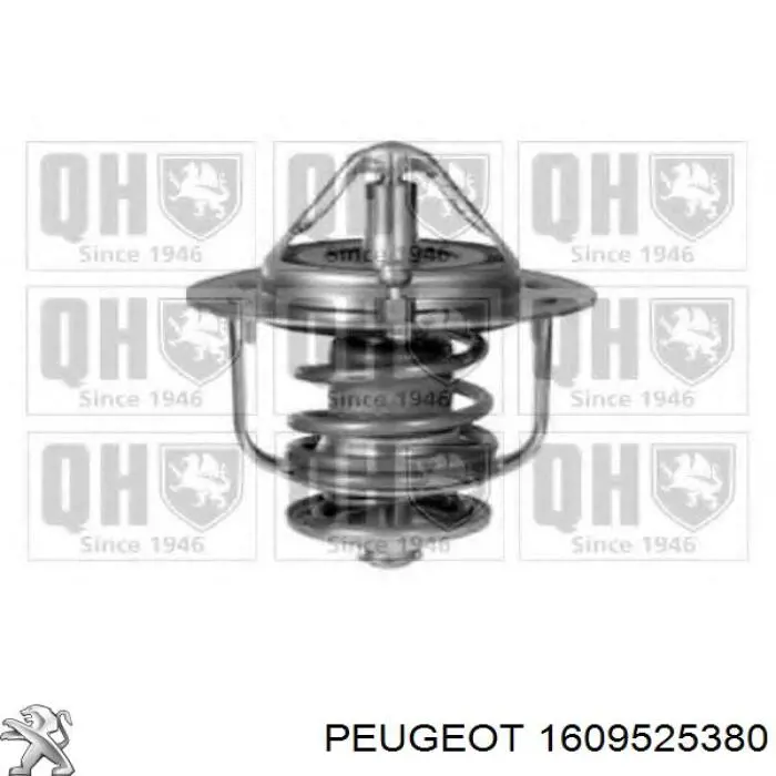 Комплект ГРМ 1609525380 Peugeot/Citroen