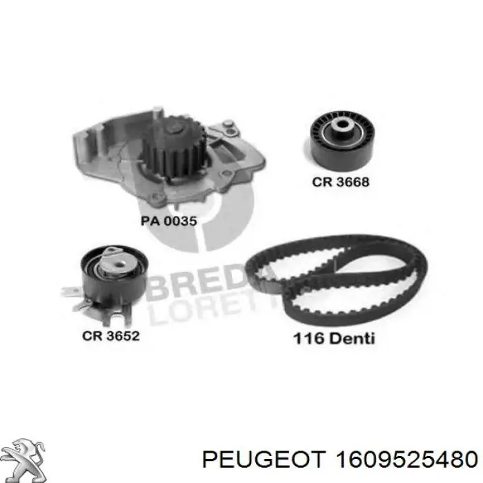 Комплект ГРМ 1609525480 Peugeot/Citroen