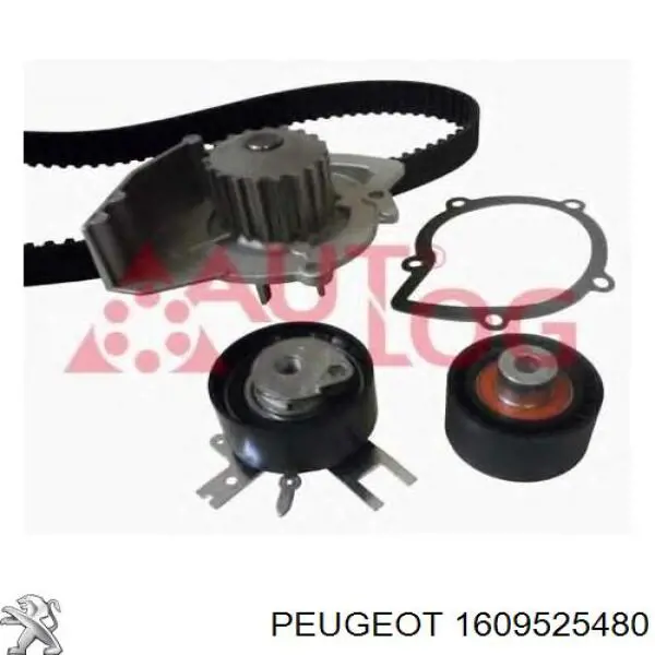 Ремкомплект ГРМ Peugeot/Citroen 1609525480