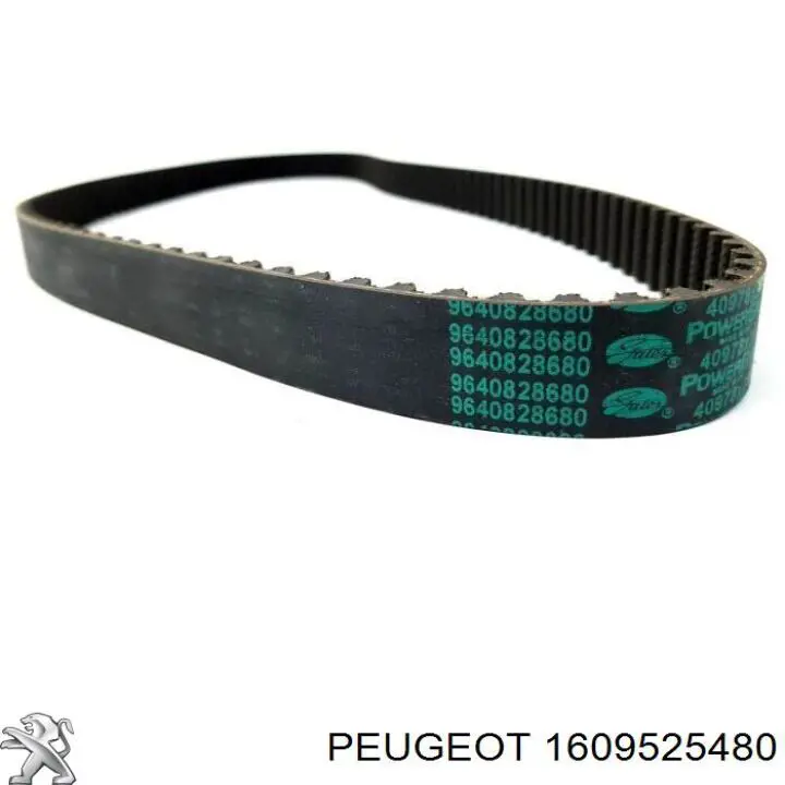 Комплект ГРМ Peugeot/Citroen 1609525480 ціна, від 101.03 USD