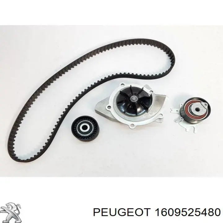 Комплект ГРМ 1609525480 Peugeot/Citroen