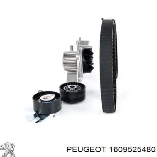 Комплект ГРМ Peugeot/Citroen 1609525480 ціна, від 101.03 USD