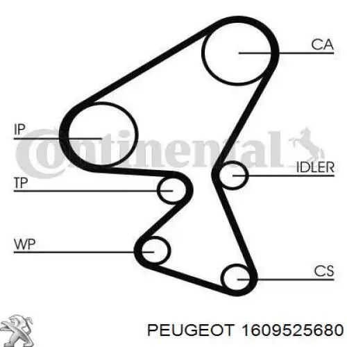 Купити 1609525680 Peugeot/Citroen ГРМ ремень