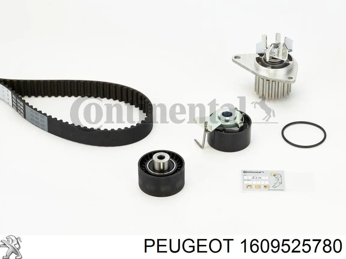 Комплект ГРМ Peugeot/Citroen 1609525780 ціна, від 100.36 USD