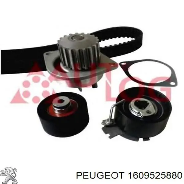 Комплект ГРМ 1609525880 Peugeot/Citroen