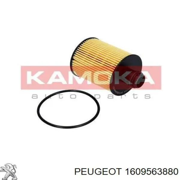 1609563880 Peugeot/Citroen Фільтр масла
