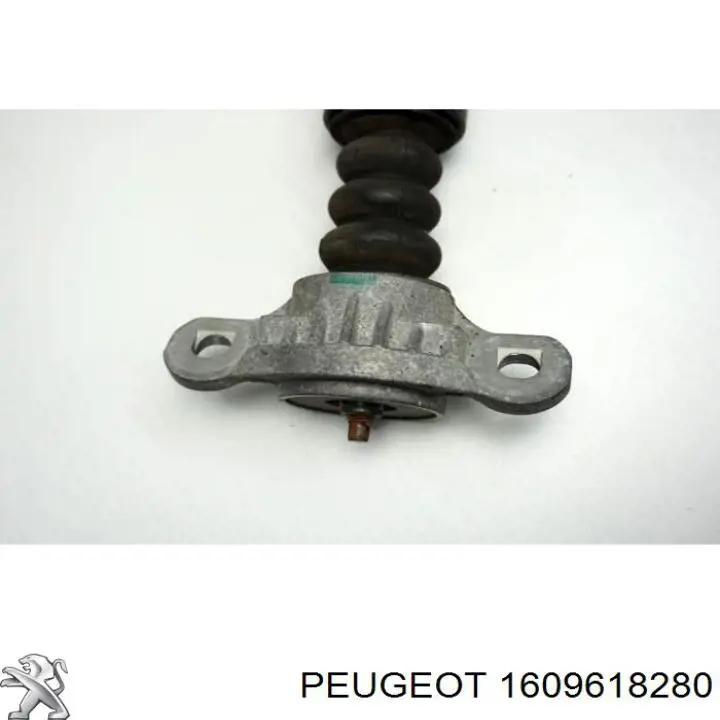 51930007 Fiat/Alfa/Lancia Амортизатори задні