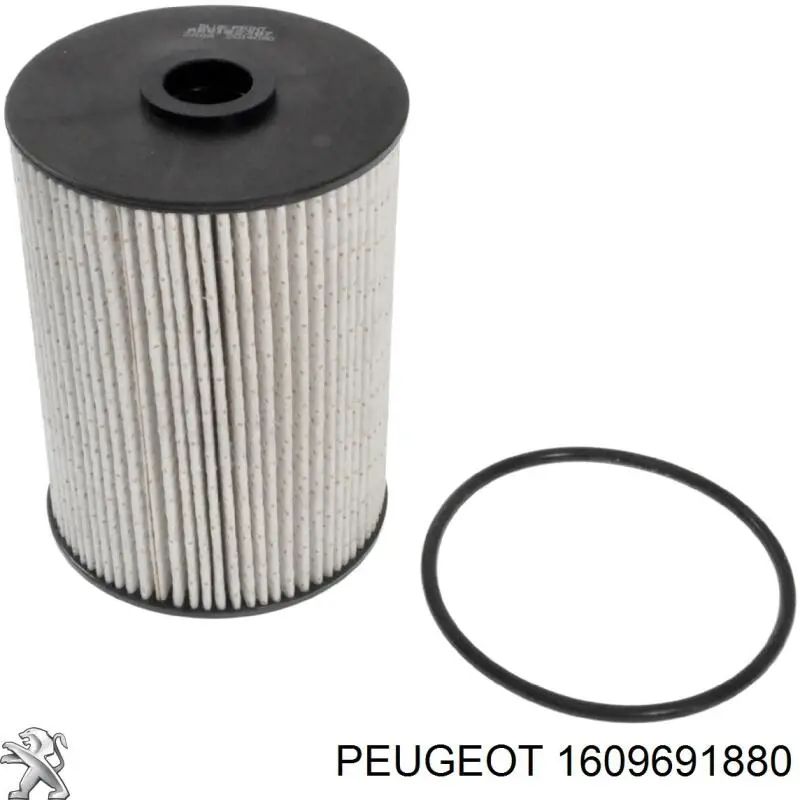 Фільтр тонкого очищення палива Peugeot/Citroen 1609691880 ціна, від 12.16 USD