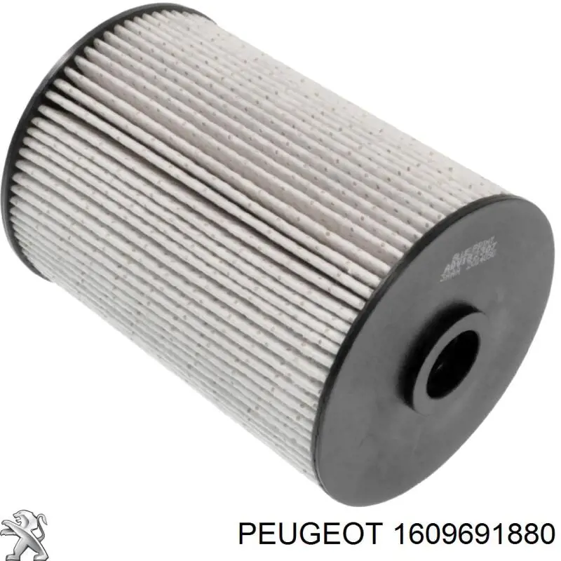 1609691880 Peugeot/Citroen фільтр паливний