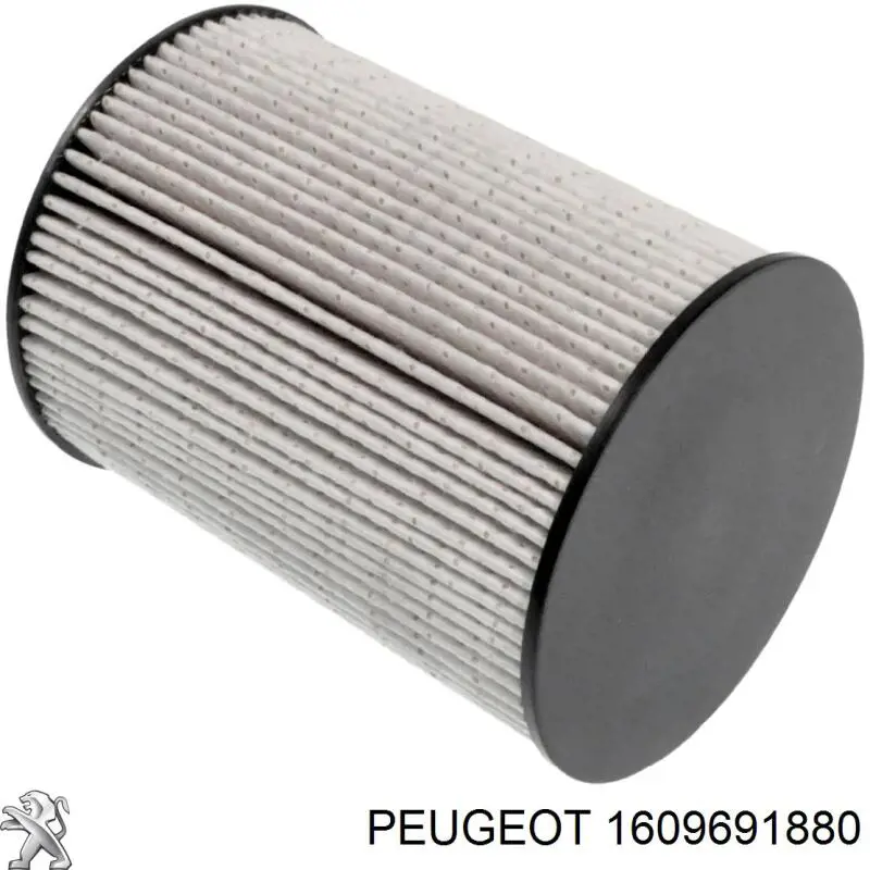 Купити 1609691880 Peugeot/Citroen Фільтр-відстійник палива грубої очистки