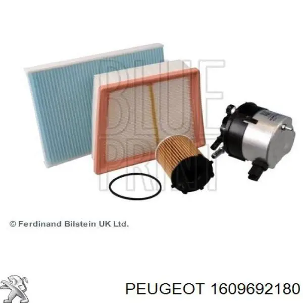 1609692180 Peugeot/Citroen фільтр паливний