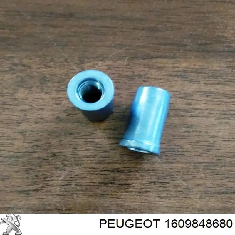 1609848680 Peugeot/Citroen 