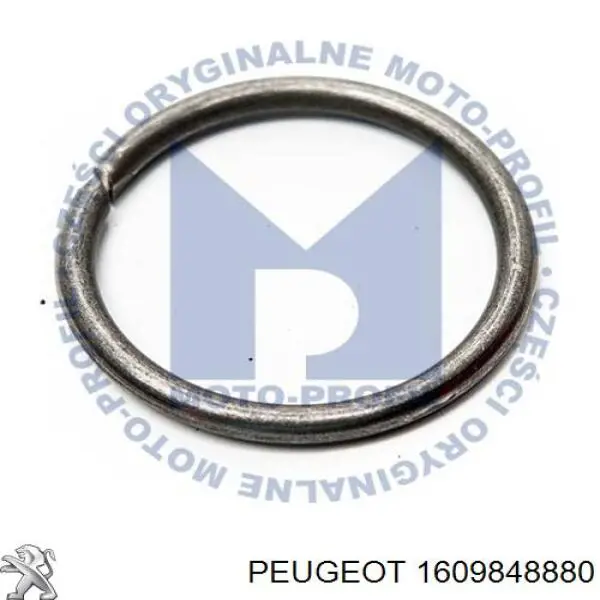 Купити 198164 Peugeot/Citroen Кільце форсунки