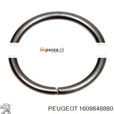 Купити 1609848880 Peugeot/Citroen Кільце форсунки
